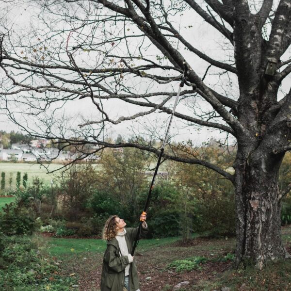 Fiskars 2-in-1 Extendable Tree Pruner and Pole Saw (Extends 7.9 - 12 feet) - Image 2